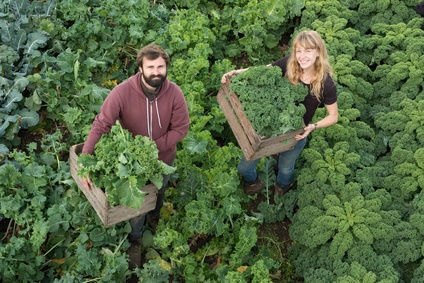 Chou kale