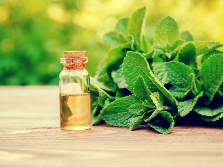 L’huile de menthe poivrée et colon irritable ? - Caroline Tanguay