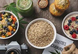 Le chanvre alimentaire Le superaliment québécois à découvrir